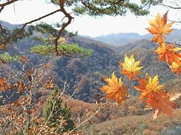 澳門今日開獎結果，探索彩票背后的故事與影響，澳門彩票開獎背后的故事與深遠影響探索