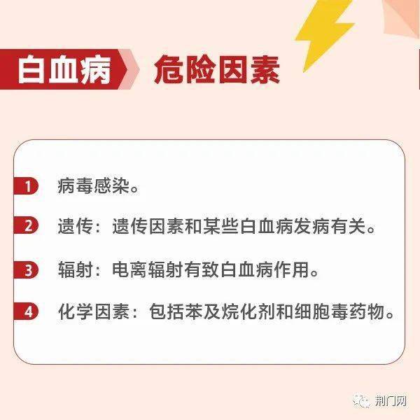 荊門最新招聘求職，探索職業(yè)發(fā)展的無限可能，荊門最新招聘求職信息，探索職業(yè)發(fā)展無限機遇