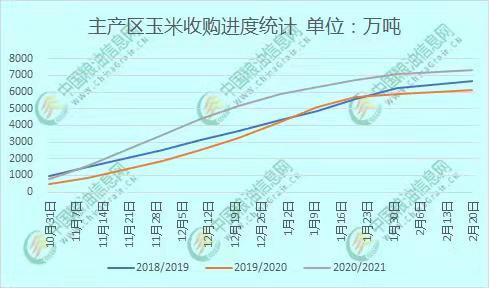 全國(guó)玉米價(jià)格最新行情分析，全國(guó)玉米價(jià)格最新行情解析