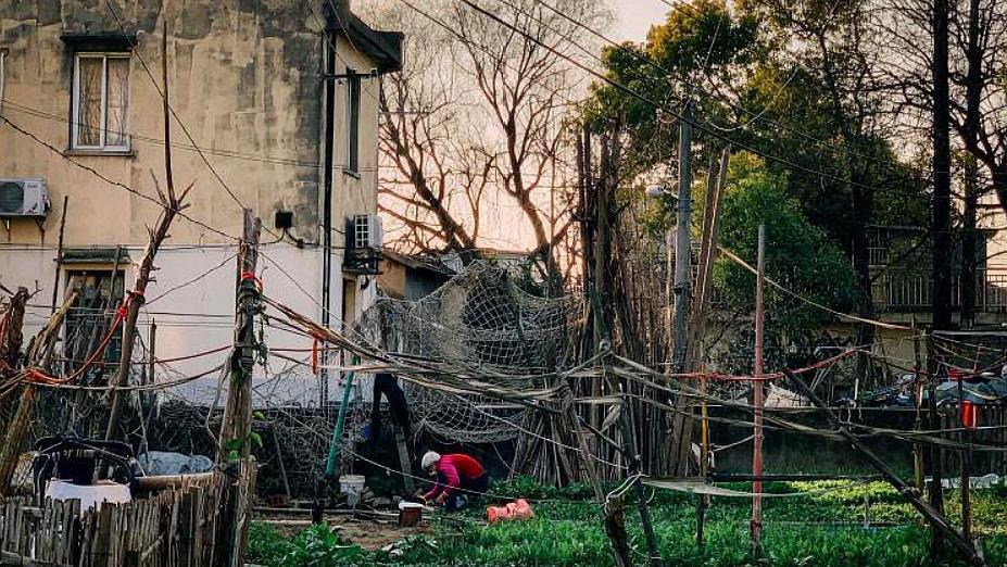 上海最新拆遷動態(tài)，變化中的城市面貌與居民生活，上海拆遷最新動態(tài)，城市面貌與居民生活的變遷