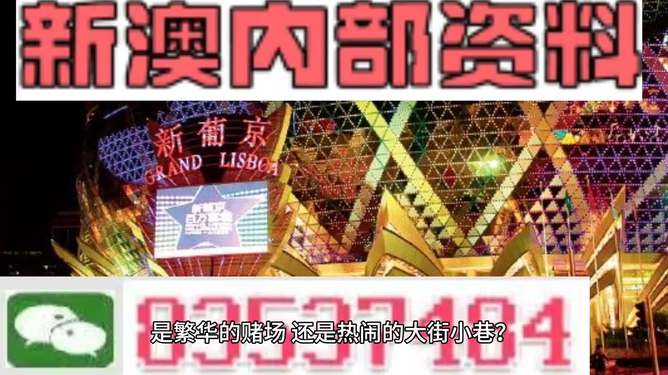 新澳門精準資料大全管家婆料,實地解析說明_尊享款19.550