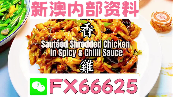 新奧天天精準資料大全，探索與解析，新奧天天精準資料大全，深度探索與全面解析