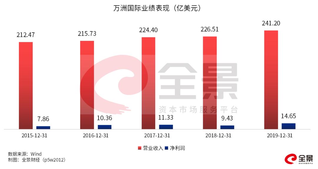 萬洲國際十大股東深度解析，萬洲國際十大股東深度剖析與解讀