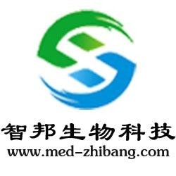 武漢維新智云科技有限公司，引領(lǐng)科技前沿，塑造數(shù)字未來(lái)，武漢維新智云科技，引領(lǐng)數(shù)字未來(lái)，科技前沿領(lǐng)航者