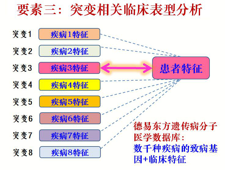 臺塑石化倒閉原因分析，臺塑石化倒閉原因深度解析