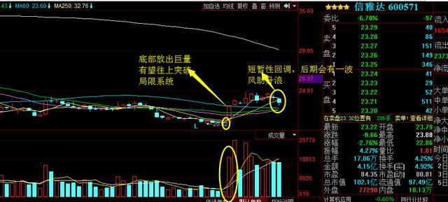 浙大網(wǎng)新為何不漲，深度探究與理性分析，浙大網(wǎng)新股價(jià)不漲背后的原因深度探究與理性分析