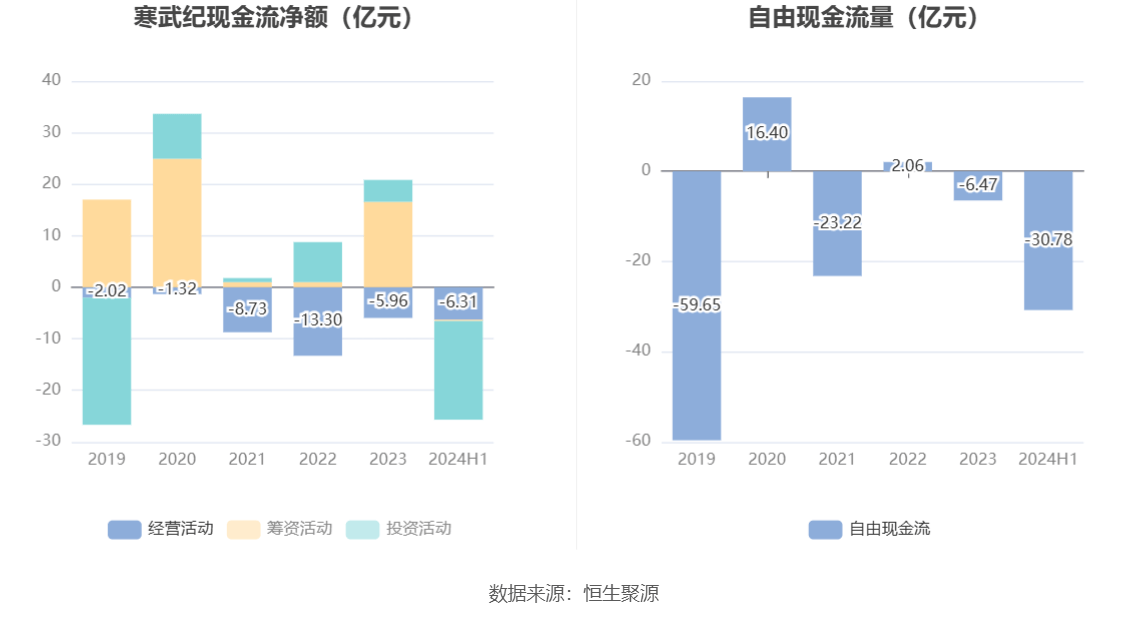 寒武紀(jì)2024年目標(biāo)價(jià)的深度解析與展望，寒武紀(jì)2024年目標(biāo)價(jià)的深度解析及展望，未來趨勢與市場預(yù)測