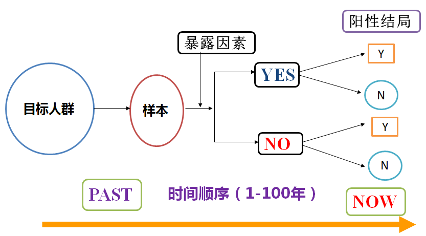 新澳門精準資料大全管家婆料,實踐研究解析說明_專業(yè)款39.982