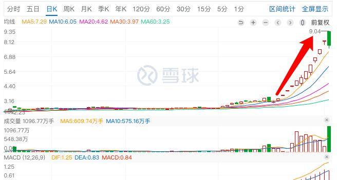 君正集團，是妖股還是價值投資之選？，君正集團，價值投資還是妖股之爭？