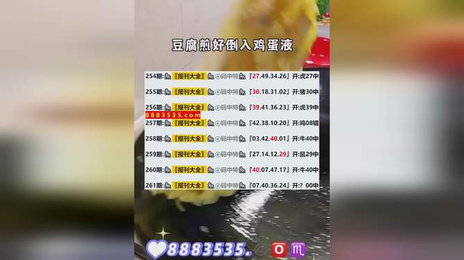 新澳2024今晚開獎(jiǎng)資料詳解，新澳2024今晚開獎(jiǎng)資料全面解析