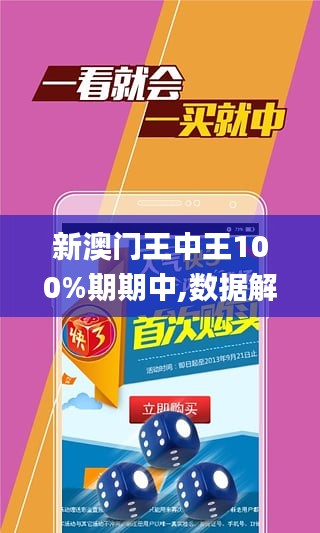 澳門王中王100%期期中,數(shù)據(jù)導(dǎo)向設(shè)計解析_SE版60.770