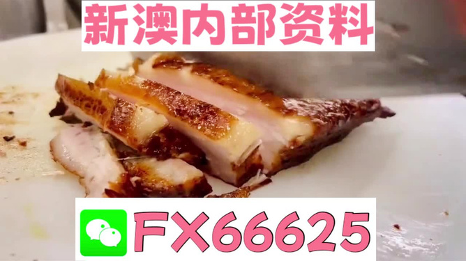 新奧長(zhǎng)期免費(fèi)資料大全，深度挖掘與探索，新奧長(zhǎng)期免費(fèi)資料深度挖掘與探索大全