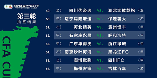 澳門一肖100準(zhǔn)免費(fèi)——揭示背后的違法犯罪問題，澳門一肖100背后的違法犯罪問題揭秘