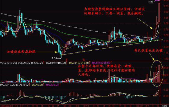 探尋未來之星，2025年有望翻十倍的潛力股票，探尋未來之星，潛力股票展望2025年十倍增長之路