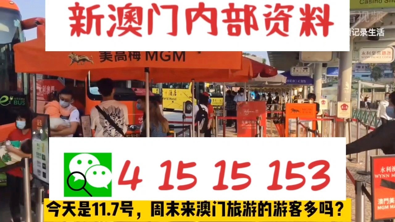 關于新澳門資料大全及家野中特的探討——警惕違法犯罪風險，澳門資料大全及家野中特探討，警惕潛在違法犯罪風險