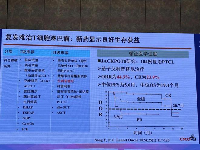 2024年新澳門今晚開獎(jiǎng)結(jié)果2024年,綜合研究解釋定義_R版11.337