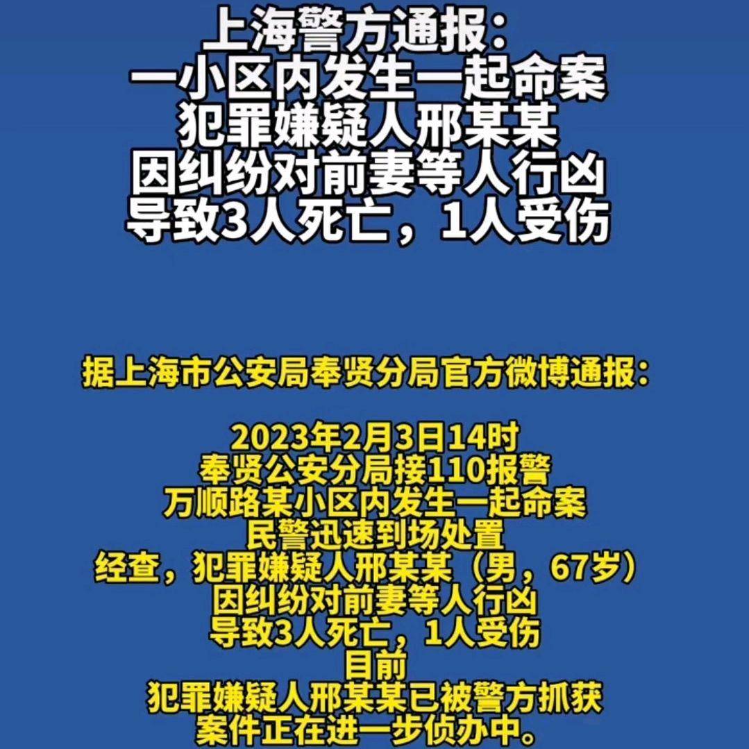 上海某小區(qū)發(fā)生刑案致一死，悲劇背后的警示與反思，上海小區(qū)刑案致一死，悲劇背后的警示與反思