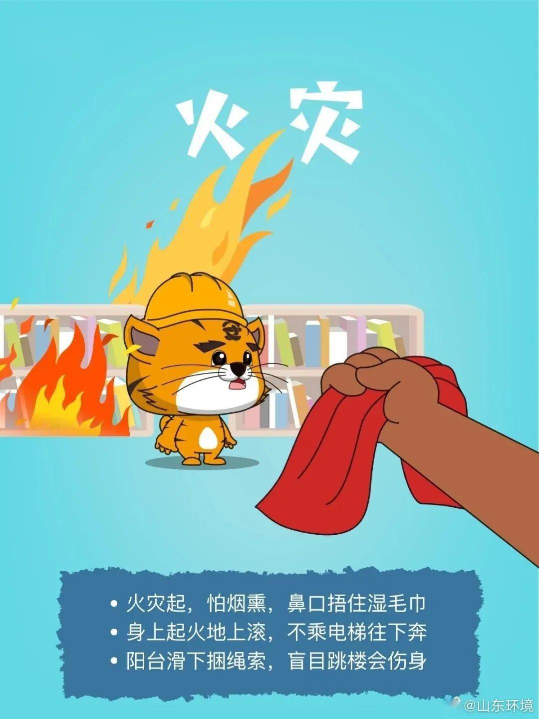 探究猴災影響，未來至2025年的挑戰(zhàn)與應對策略，猴災影響深度解析，至2025年的挑戰(zhàn)與應對策略