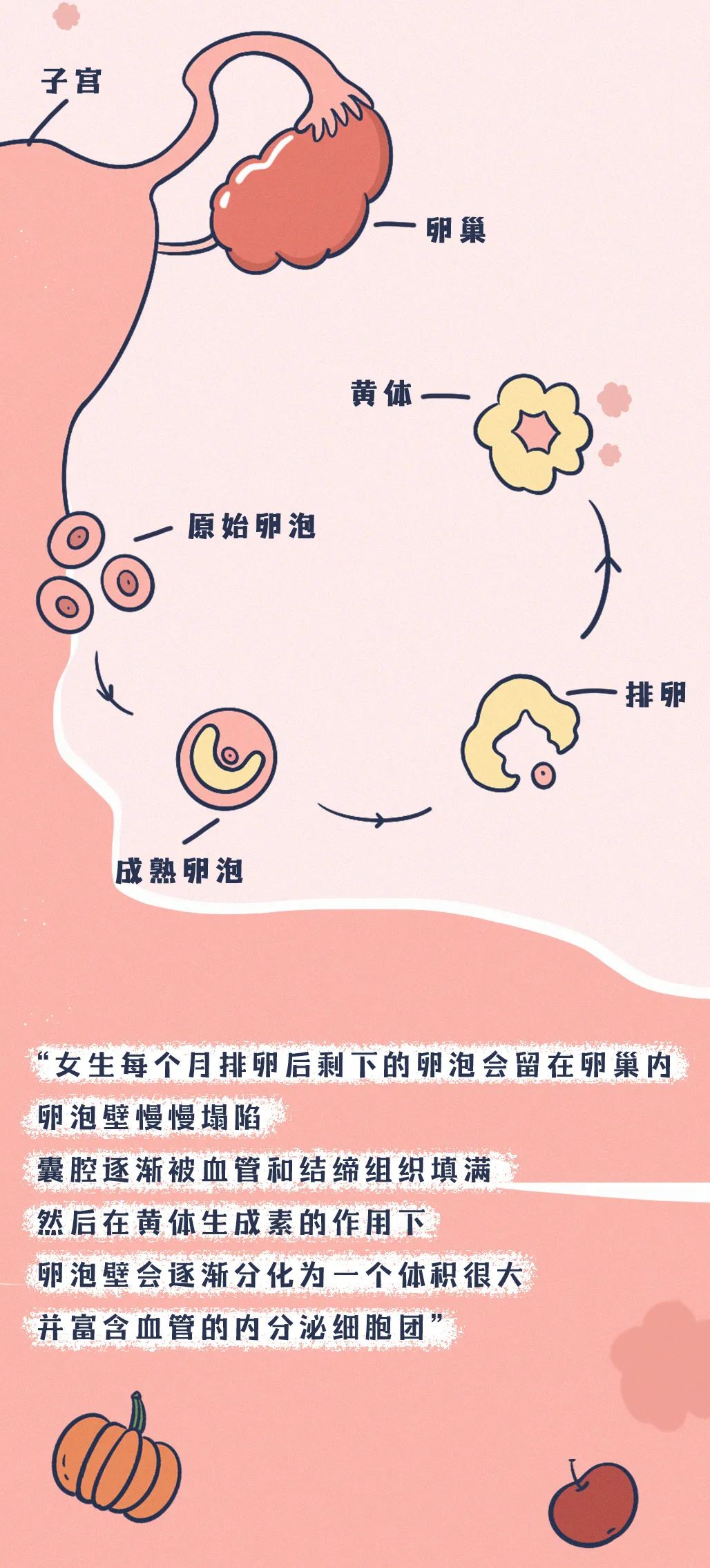 黃體破裂的早期癥狀及其影響，黃體破裂的早期癥狀與影響解析