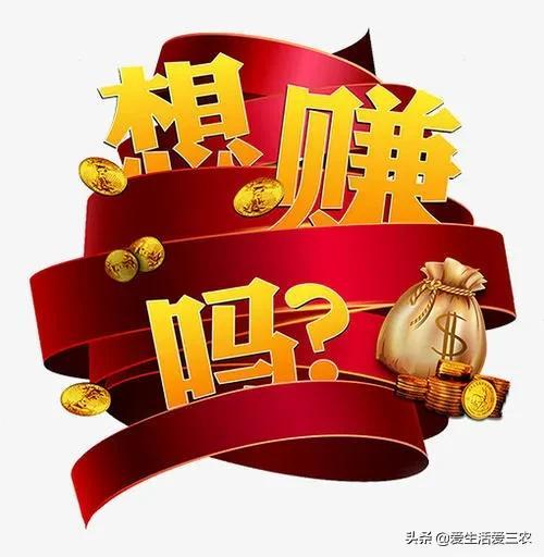 一天賺500，如何實現(xiàn)你的收入目標，一天賺500，實現(xiàn)你的收入目標指南