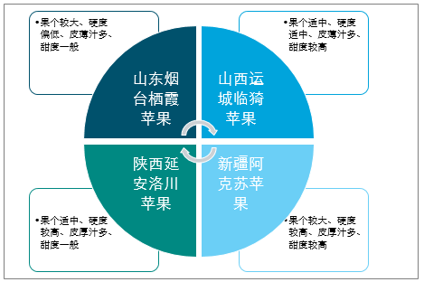 陜西蘋(píng)果產(chǎn)業(yè)全產(chǎn)業(yè)鏈深度解析，陜西蘋(píng)果產(chǎn)業(yè)全產(chǎn)業(yè)鏈深度探究