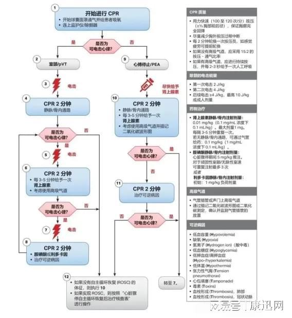 最新CPR（心肺復(fù)蘇術(shù)）流程詳解，最新CPR（心肺復(fù)蘇術(shù)）流程全面解析