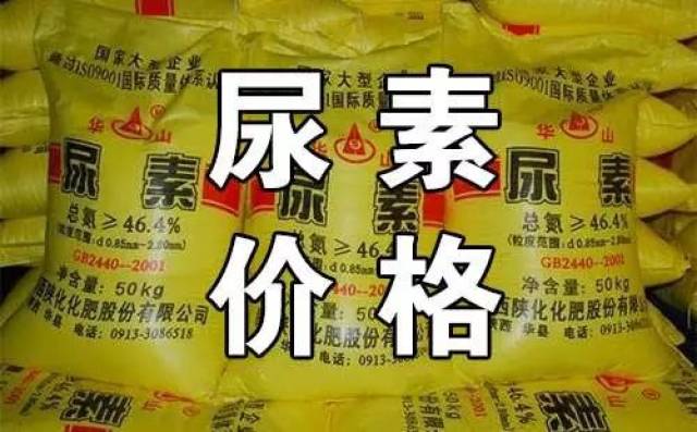 尿素最新報(bào)價(jià)及市場動態(tài)分析，尿素最新報(bào)價(jià)與市場動態(tài)深度解析