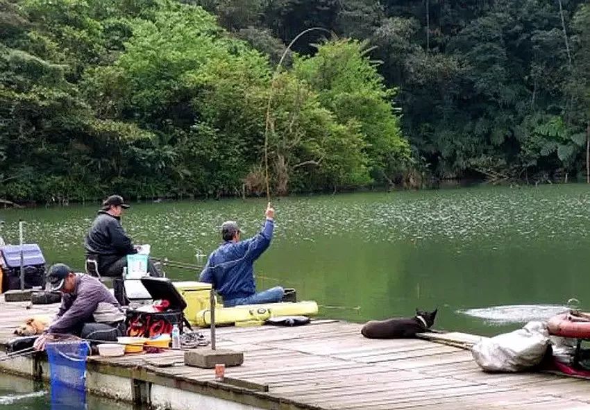 釣魚圈的奇事趣聞，釣魚圈里的奇聞趣事