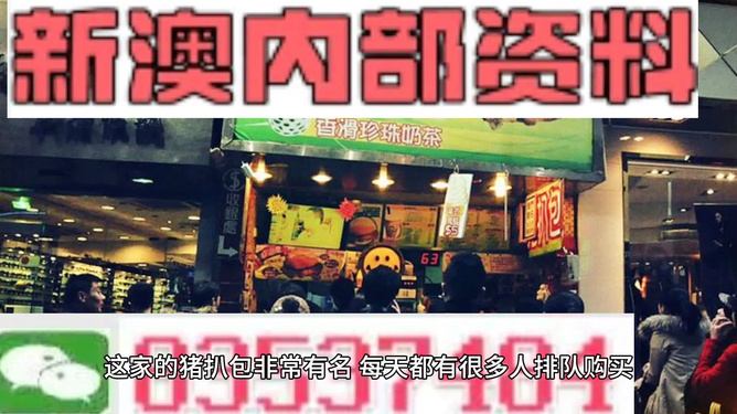 新奧天天精準資料大全，深度解析與實際應用，新奧天天精準資料大全，深度解析及實際應用指南