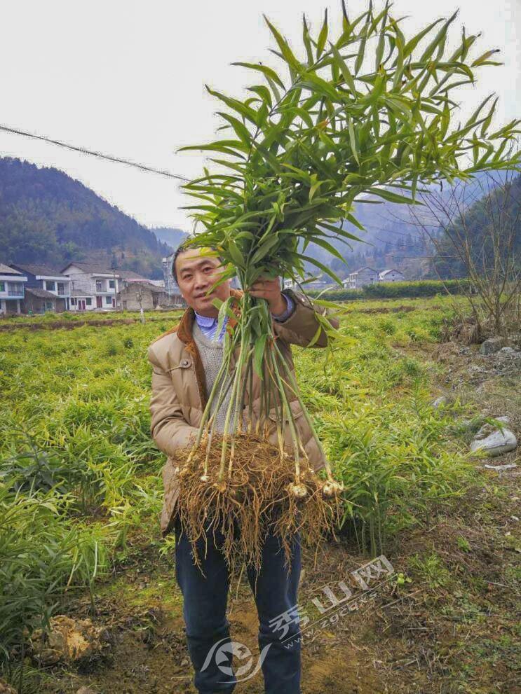 熱點 第183頁