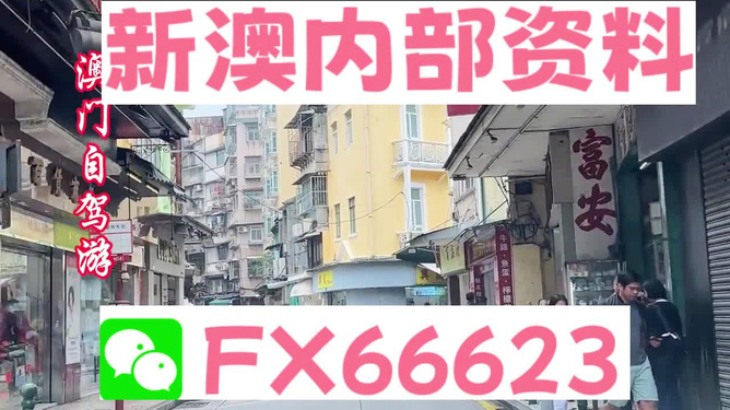 新澳正版資料免費(fèi)提供，助力個(gè)人與企業(yè)的成長(zhǎng)與發(fā)展，新澳正版資料助力成長(zhǎng)與發(fā)展，個(gè)人與企業(yè)的免費(fèi)資源寶庫(kù)