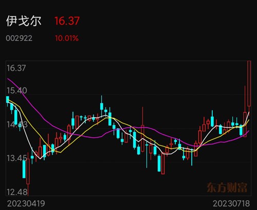 伊戈?duì)柟砂蓶|方財(cái)富，股市新星與投資者的新選擇，伊戈?duì)柟砂蓶|方財(cái)富，股市新星，投資者的新選擇