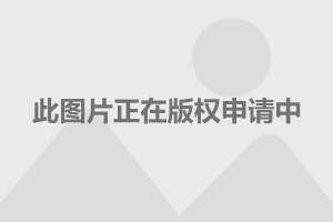 電視劇護心演員表深度解析，電視劇護心演員表深度解析與角色剖析