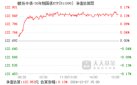 鵬揚中債-30年期國債ETF，深度解析及其投資策略，鵬揚中債-30年期國債ETF深度解析與投資策略探討