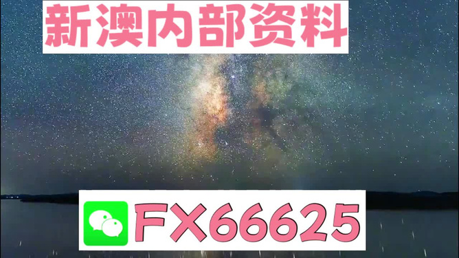 探索未來(lái)之門，2024新澳正版免費(fèi)資料大全的獨(dú)特魅力與機(jī)遇，探索未來(lái)之門，2024新澳正版免費(fèi)資料大全的魅力與機(jī)遇