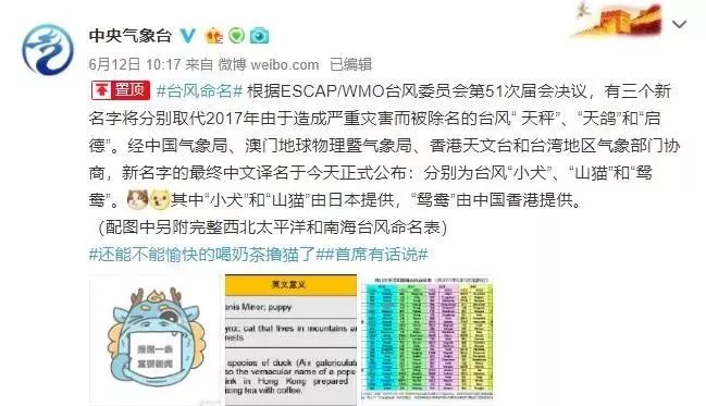 警惕虛假博彩陷阱，新澳門必中三肖三碼三期必開劉伯背后的風(fēng)險(xiǎn)，警惕虛假博彩陷阱，揭秘新澳門劉伯背后的風(fēng)險(xiǎn)與三期必開真相