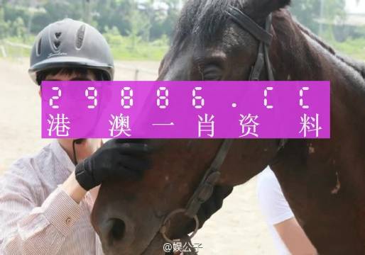 一肖一碼準(zhǔn)確性問題