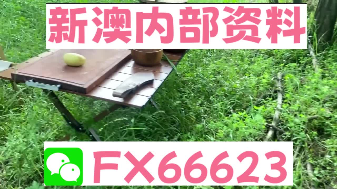 新澳天天開獎(jiǎng)資料大全與旅游攻略詳解，新澳天天開獎(jiǎng)資料及旅游攻略詳解大全