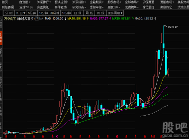 股吧600309，深度解析與前景展望，股吧600309深度解析與未來(lái)前景展望