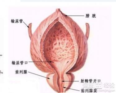 治療前列腺炎的最佳方法，治療前列腺炎的最佳方法解析