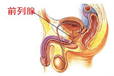 前列腺自我按摩手法圖解，一種有效的自我保健方法，前列腺自我按摩手法圖解，有效保健新方法！