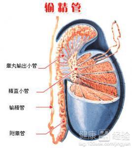 男性結(jié)扎手術(shù)費(fèi)用多少，全面解析費(fèi)用構(gòu)成與影響因素，男性結(jié)扎手術(shù)費(fèi)用詳解，構(gòu)成、影響因素全解析