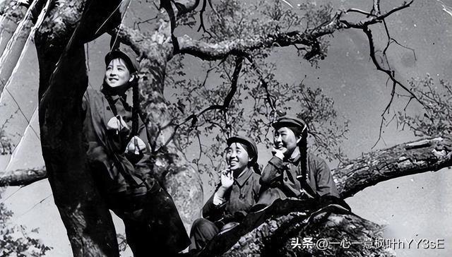 探索女兵報(bào)名入口官網(wǎng)，2023年的機(jī)遇與挑戰(zhàn)，女兵報(bào)名入口官網(wǎng)探索，2023年的機(jī)遇與挑戰(zhàn)揭秘