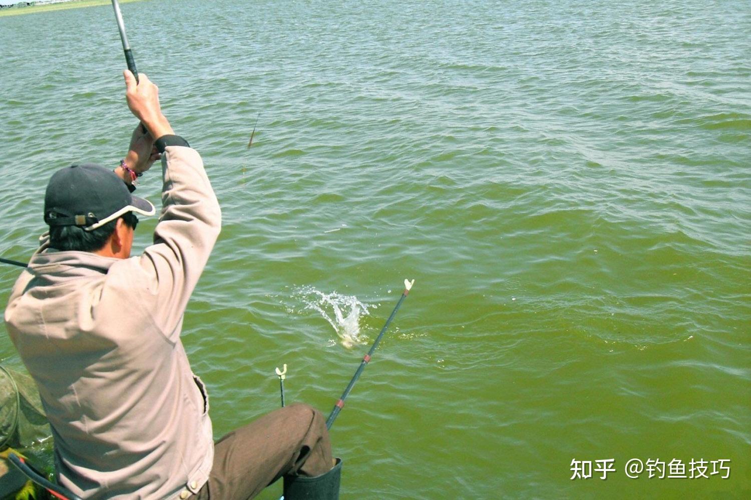 釣魚(yú)技巧詳解，如何精準(zhǔn)捕捉心儀的魚(yú)獲，釣魚(yú)技巧全解析，精準(zhǔn)捕捉心儀魚(yú)獲攻略