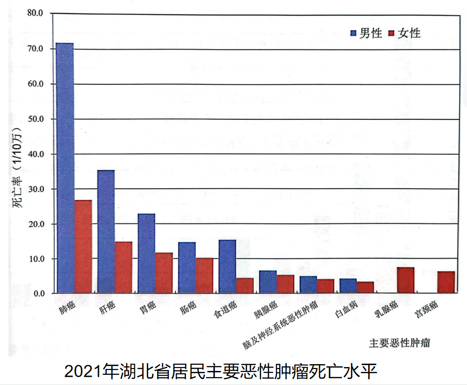 睪丸癌死亡率及其相關(guān)因素探討，睪丸癌死亡率及其影響因素分析