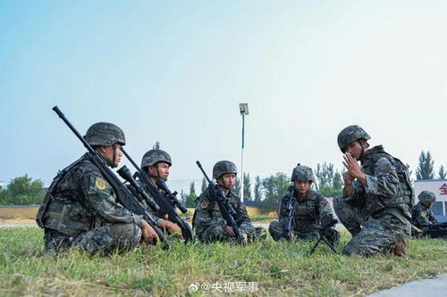 全國(guó)雇傭兵征兵網(wǎng)官網(wǎng)，探索現(xiàn)代軍事力量的招募與培養(yǎng)之路，全國(guó)雇傭兵征兵網(wǎng)官網(wǎng)，現(xiàn)代軍事力量招募與培養(yǎng)之路探索